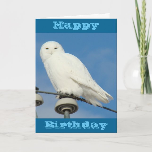 B50 Snowy Owl Card (Front)