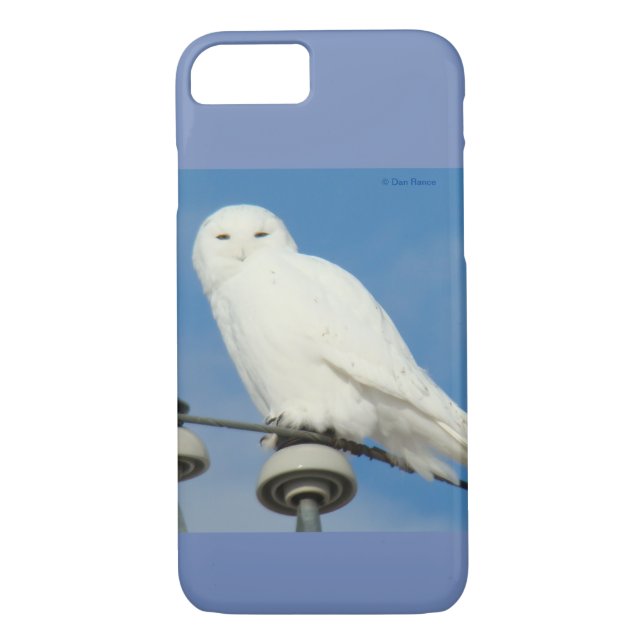 B50 Snowy Owl Case-Mate iPhone Case (Back)