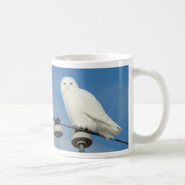 B50 Snowy Owl Coffee Mug (Right)