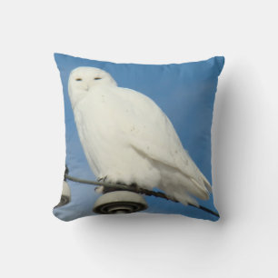 B50 Snowy Owl Cushion