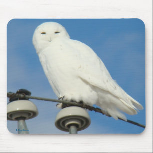B50 Snowy Owl Mouse Pad