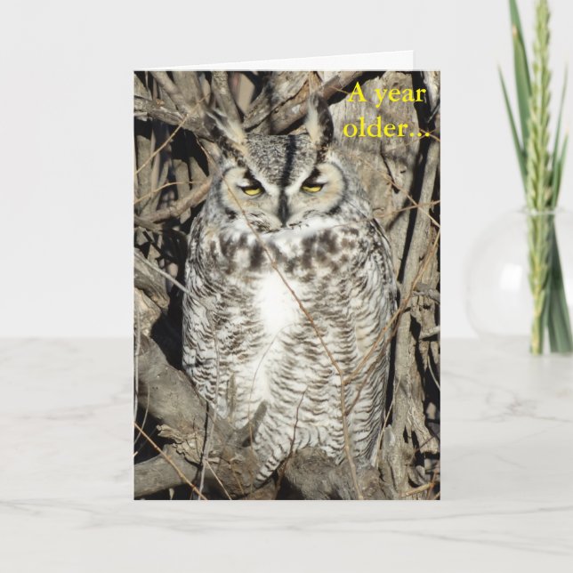 B51 Great Horned Owl Card (Front)