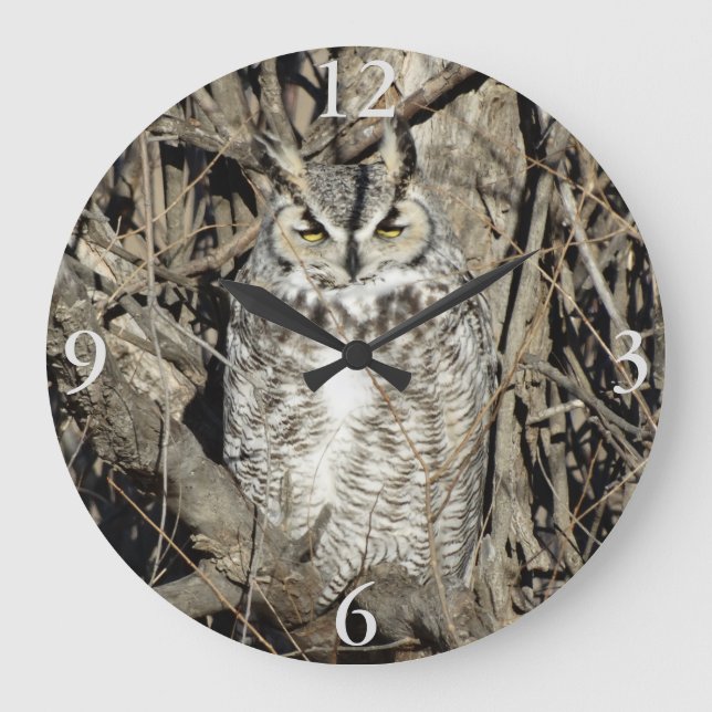 B51 Great Horned Owl Large Clock (Front)
