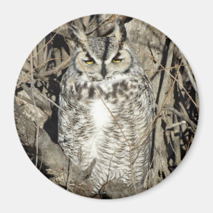B51 Great Horned Owl Magnet