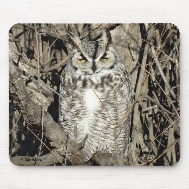 B51 Great Horned Owl Mouse Pad (Front)