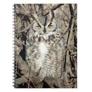 B51 Great Horned Owl Notebook