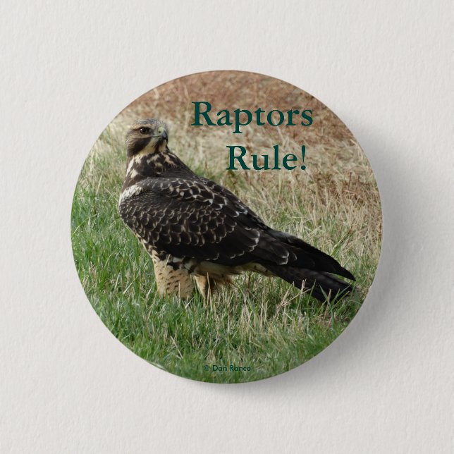 B52 Swainson's Hawk 6 Cm Round Badge (Front)