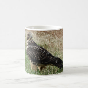 B52 Swainson's Hawk Coffee Mug
