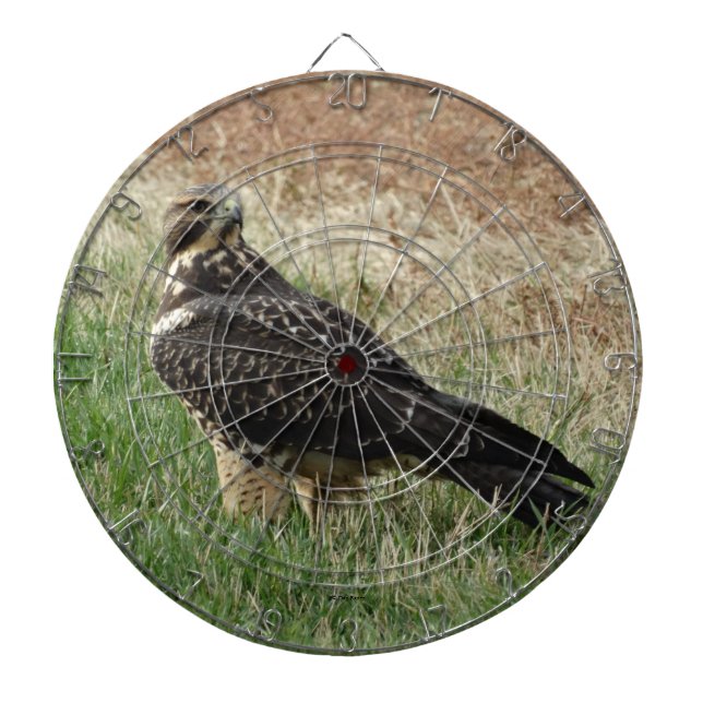 B52 Swainson's Hawk Dartboard (Front)