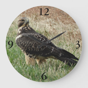 B52 Swainson's Hawk Large Clock