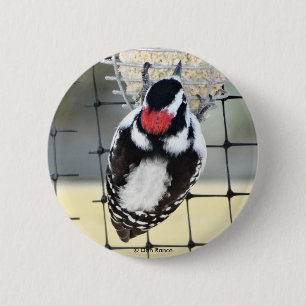 B53 Downy Woodpecker 6 Cm Round Badge