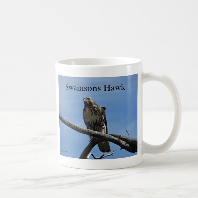 B54 Swainson's Hawk Coffee Mug (Right)