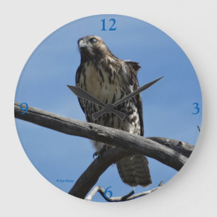 B54 Swainson's Hawk Large Clock