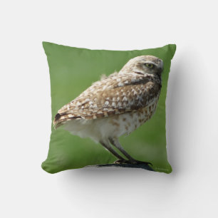 B56 Burrowing Owl Cushion