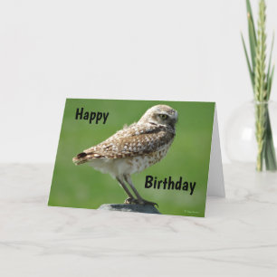 B56 Burrowing Owl Holiday Card
