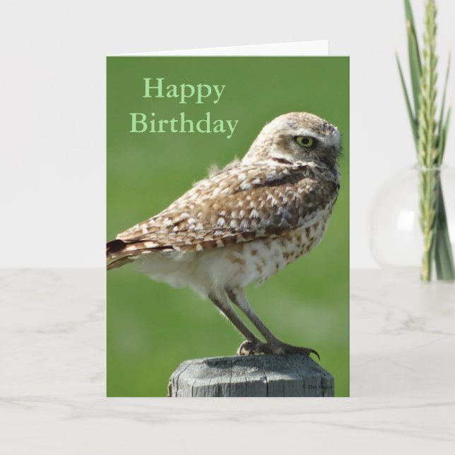 B56 Burrowing Owl Holiday Card (Front)