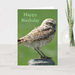 B56 Burrowing Owl Holiday Card