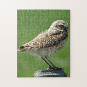 B56 Burrowing Owl Jigsaw Puzzle