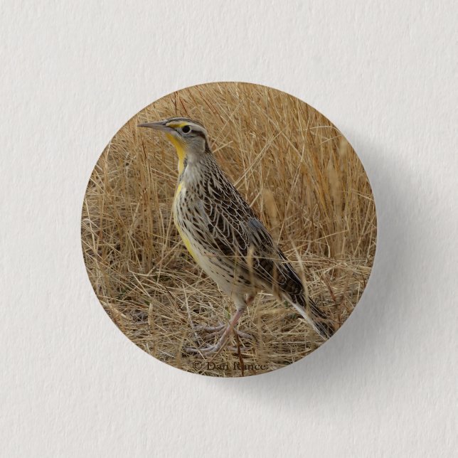 B57 Western Meadowlark 3 Cm Round Badge (Front)