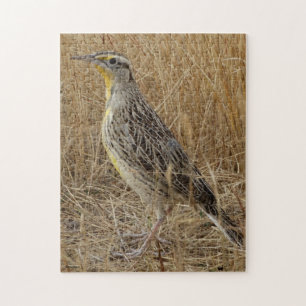 B57 Western Meadowlark Jigsaw Puzzle