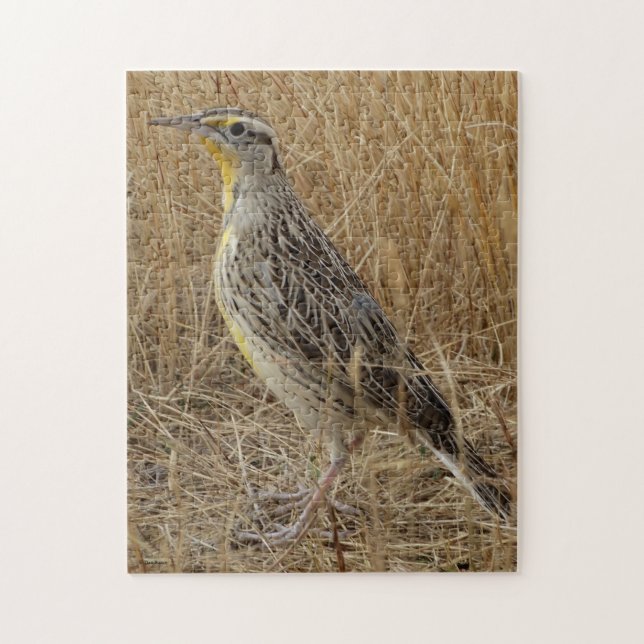 B57 Western Meadowlark Jigsaw Puzzle (Vertical)