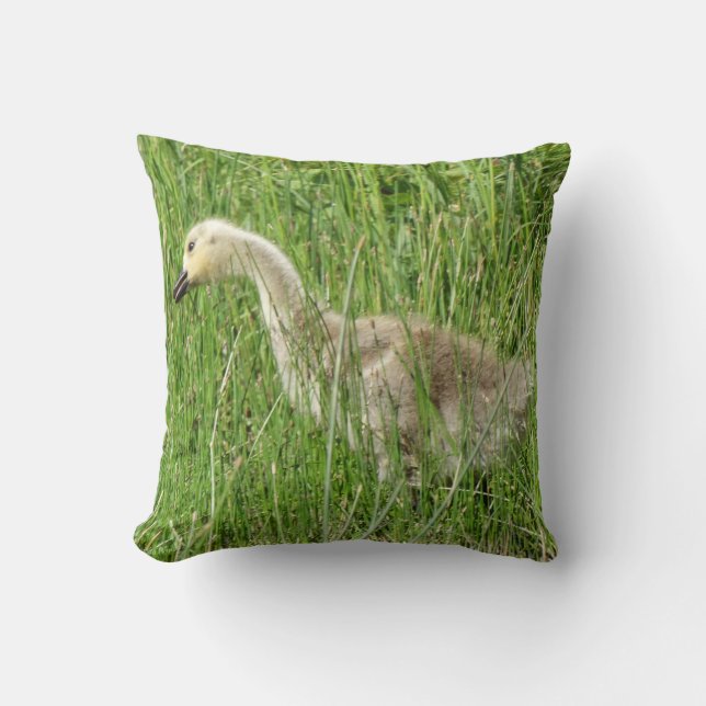 B58 Canada Goose Gosling in the Grass Cushion (Front)