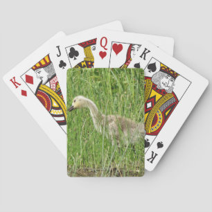 B58 Canada Goose Gosling in the Grass Playing Cards