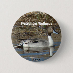 B5 Pintail Duck Drake 6 Cm Round Badge