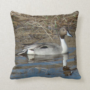 B5 Pintail Duck Drake Cushion