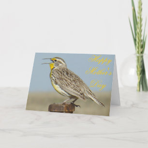 B6 Western Meadowlark Card