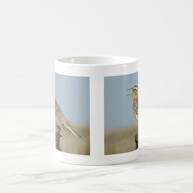 B6 Western Meadowlark Coffee Mug (Center)