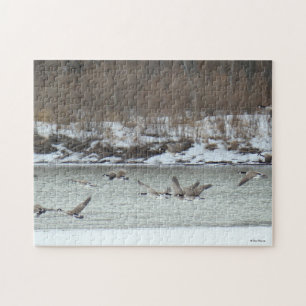 B7 Canadian Geese in Flight Jigsaw Puzzle