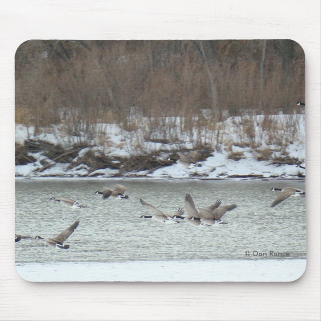 B7 Canadian Geese in Flight Mouse Pad (Front)