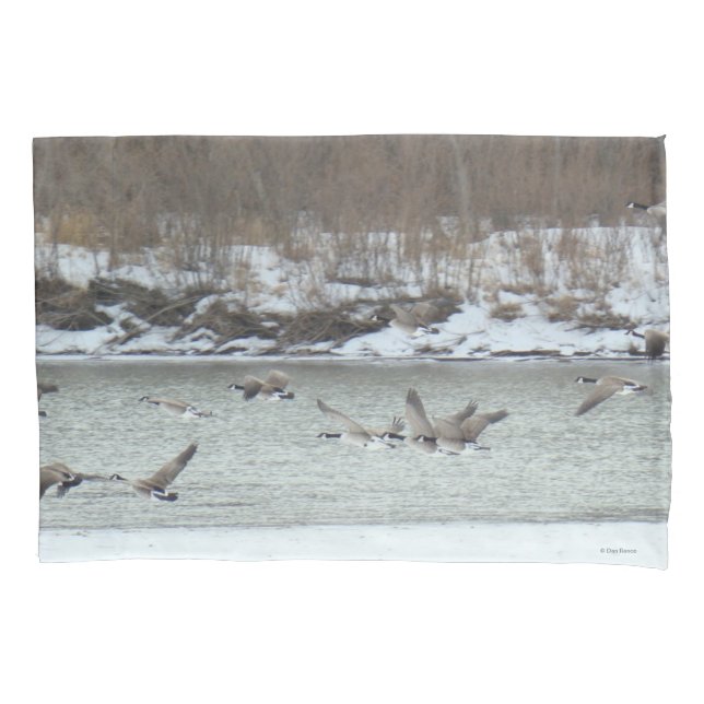 B7 Canadian Geese in Flight Pillowcase (Front)