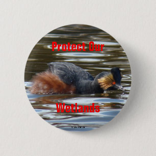 B8 Eared Grebe Courting 6 Cm Round Badge