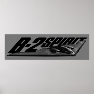 B-2 Spirit Print