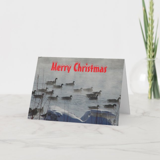 B 49 Canada Geese on Foggy River Christmas Card (Front)
