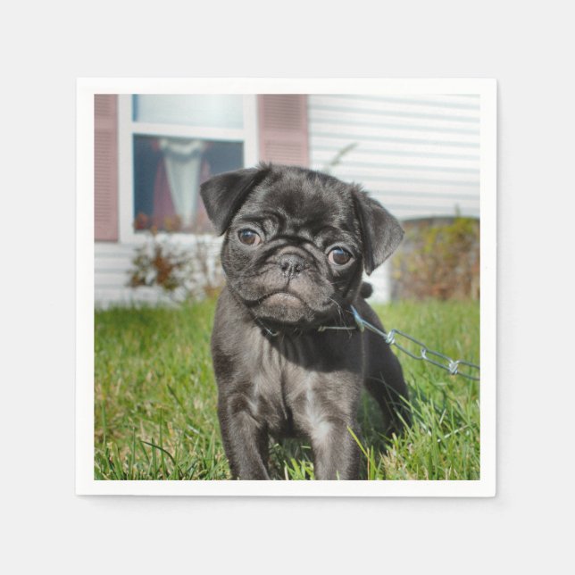 B;ack Pug pupp Napkin (Front)