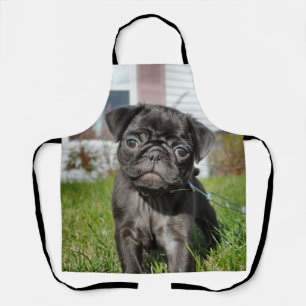 B;ack Pug puppy Apron
