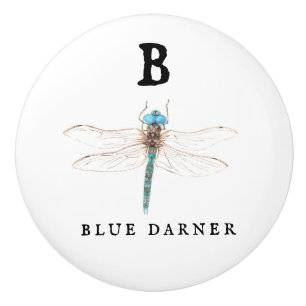"B" Blue Darner Ceramic Knob