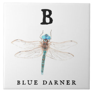 "B" Blue Darner Ceramic Tile