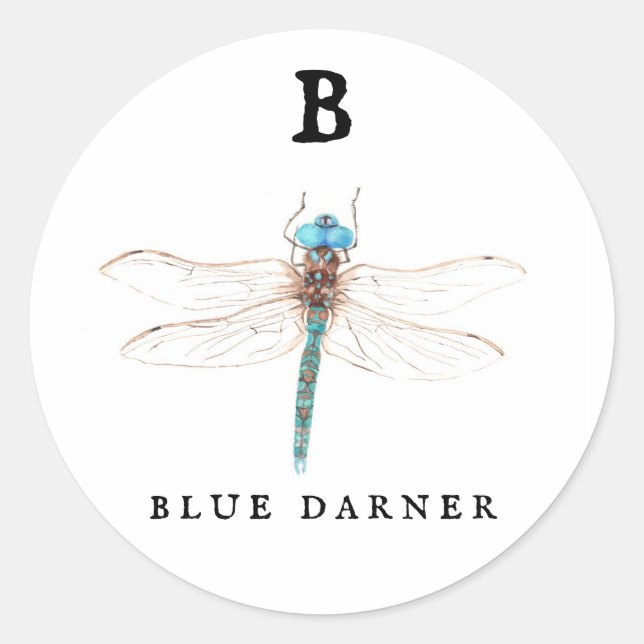 "B" Blue Darner  Classic Round Sticker (Front)