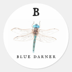 "B" Blue Darner  Classic Round Sticker