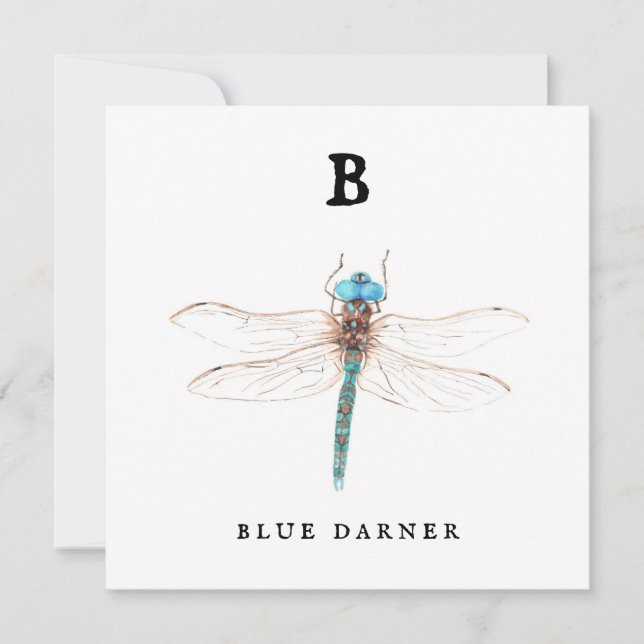 "B" Blue Darner flat card (Front)