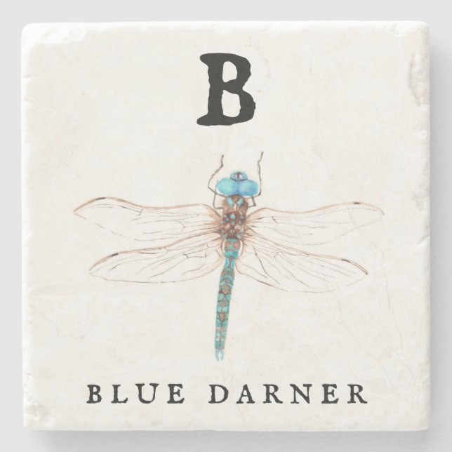 "B" Blue Darner  Stone Coaster (Front)