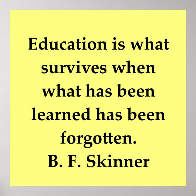 b f skinner quote poster (Front)