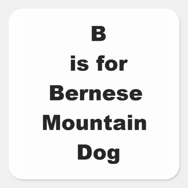 b is for bernese mt dog.png square sticker (Front)