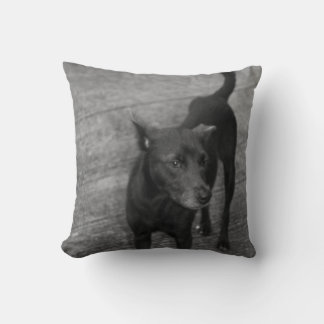 B&W - Aspin Cushion