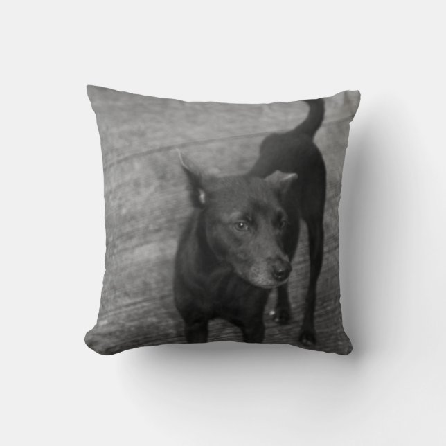 B&W - Aspin Cushion (Front)