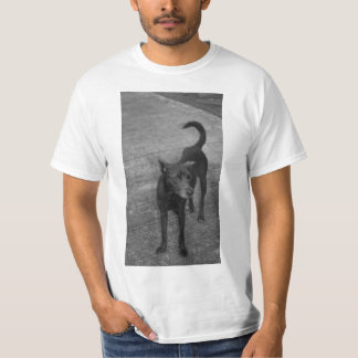 B&W - Aspin T-Shirt